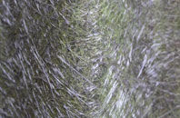 Walkerburn fibreglass roof work